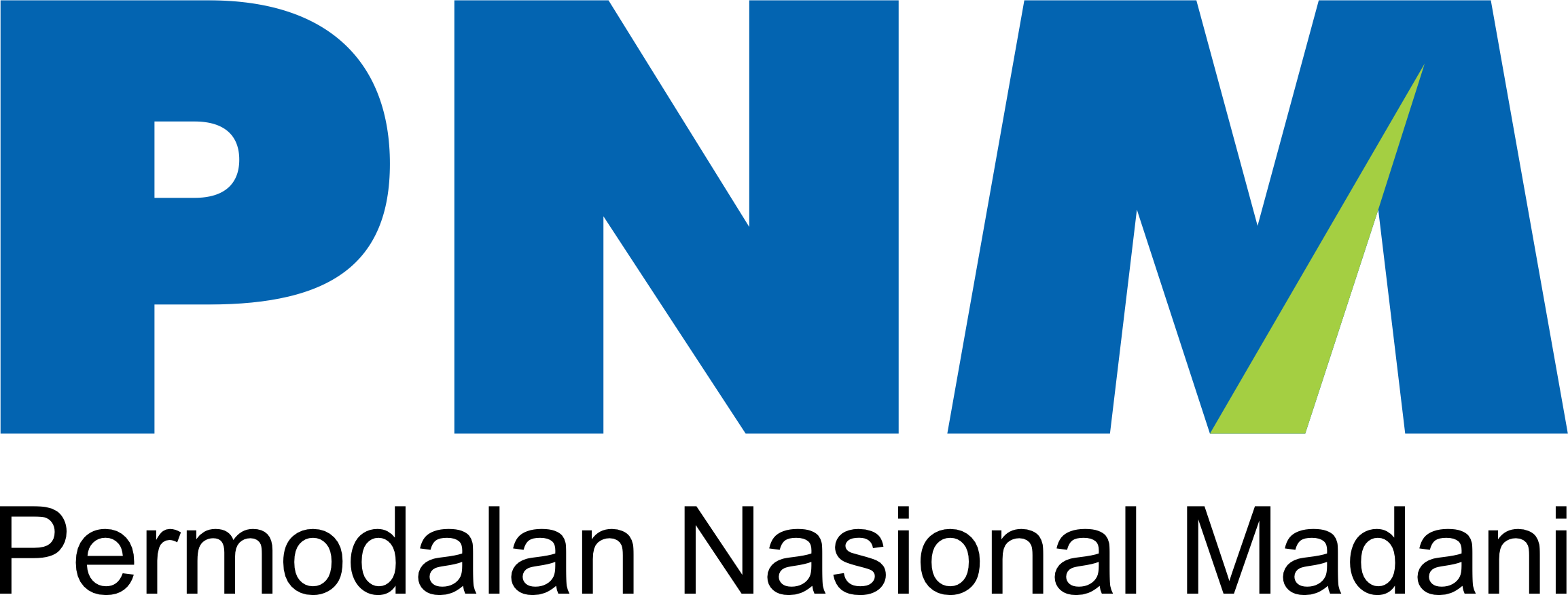 10 LOGO PNM